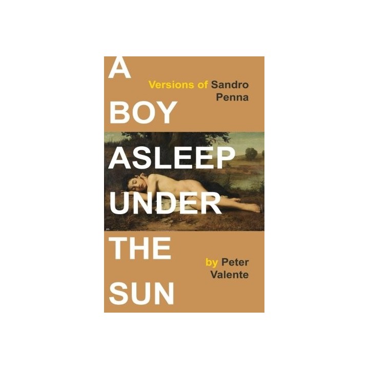 A Boy Asleep Under the Sun: Versions of Sandro Penna